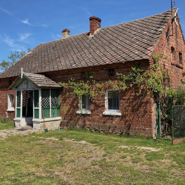 W drodze po marzenia, niezobowiazujaco